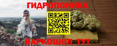 гидра Заволжье