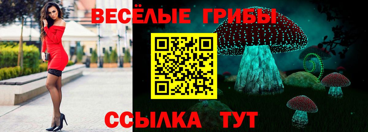 Псилоцибиновые грибы MAGIC MUSHROOMS Луховицы