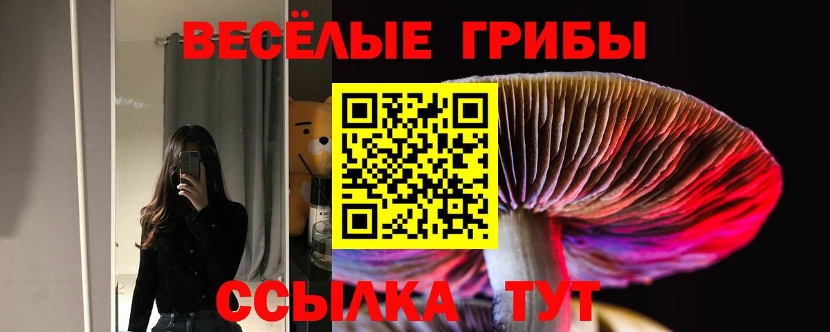 Луховицы  Псилоцибиновые грибы мицелий  Вход с VPN  Галлюциногенные грибы мухоморы 